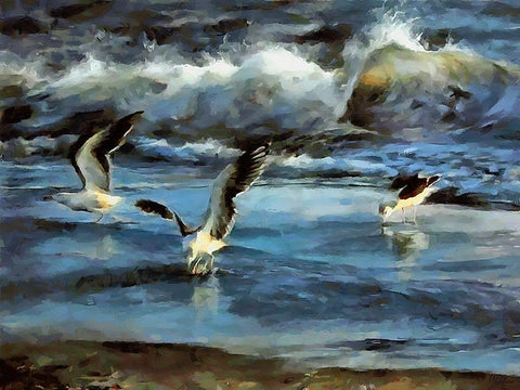 Seagulls ont the Beach White Modern Wood Framed Art Print with Double Matting by Medeiros, Celito