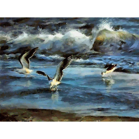 Seagulls ont the Beach Black Modern Wood Framed Art Print by Medeiros, Celito