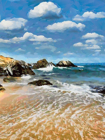 Rocky Beach Black Ornate Wood Framed Art Print with Double Matting by Medeiros, Celito