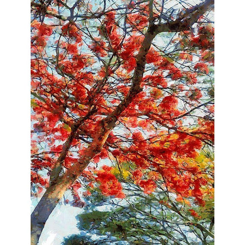 Red Flowering Tree III Black Modern Wood Framed Art Print by Medeiros, Celito