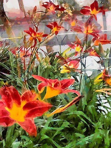 Red Orchids Black Ornate Wood Framed Art Print with Double Matting by Medeiros, Celito