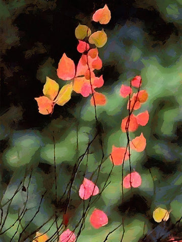 Red Leavers on Dark Background White Modern Wood Framed Art Print with Double Matting by Medeiros, Celito