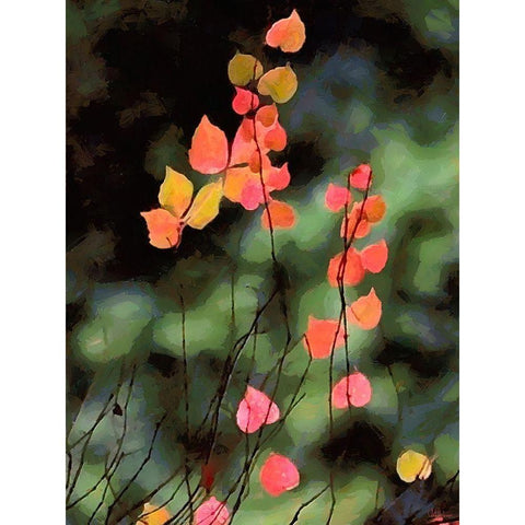 Red Leavers on Dark Background Black Modern Wood Framed Art Print with Double Matting by Medeiros, Celito