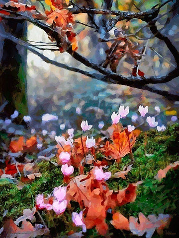 Early Spring Flowers White Modern Wood Framed Art Print with Double Matting by Medeiros, Celito