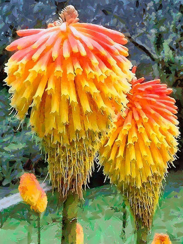 Miracle Flower White Modern Wood Framed Art Print with Double Matting by Medeiros, Celito