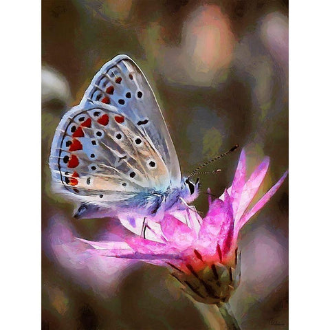 Butterfly on Pink Flower Gold Ornate Wood Framed Art Print with Double Matting by Medeiros, Celito