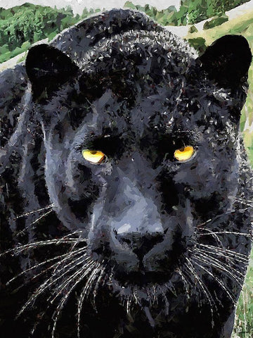 Black Panther II Black Ornate Wood Framed Art Print with Double Matting by Medeiros, Celito