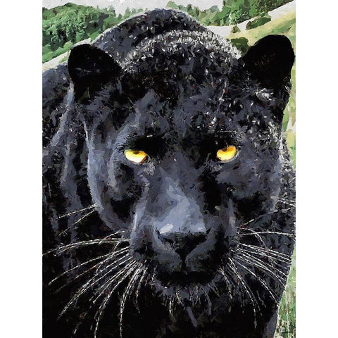 Black Panther II Black Modern Wood Framed Art Print by Medeiros, Celito