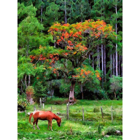 Brown Horse on the Meadow White Modern Wood Framed Art Print by Medeiros, Celito