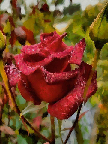 One Red Rose White Modern Wood Framed Art Print with Double Matting by Medeiros, Celito