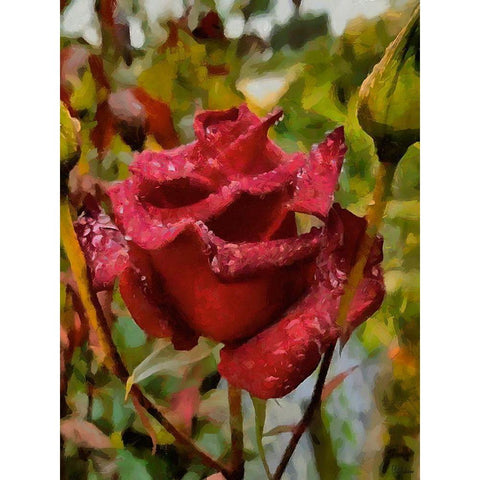 One Red Rose Black Modern Wood Framed Art Print by Medeiros, Celito