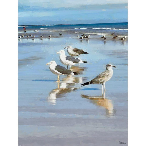 Seagulls on the Beach II Black Modern Wood Framed Art Print with Double Matting by Medeiros, Celito