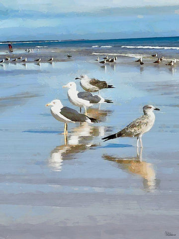 Seagulls on the Beach II White Modern Wood Framed Art Print with Double Matting by Medeiros, Celito