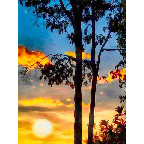 Evening is Approaching Black Modern Wood Framed Art Print by Medeiros, Celito