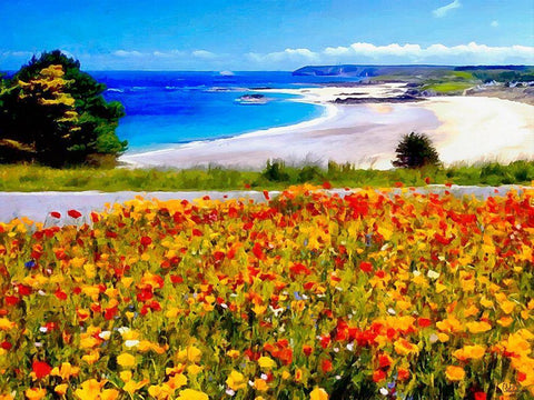 Flowers on the Field near Beach White Modern Wood Framed Art Print with Double Matting by Medeiros, Celito