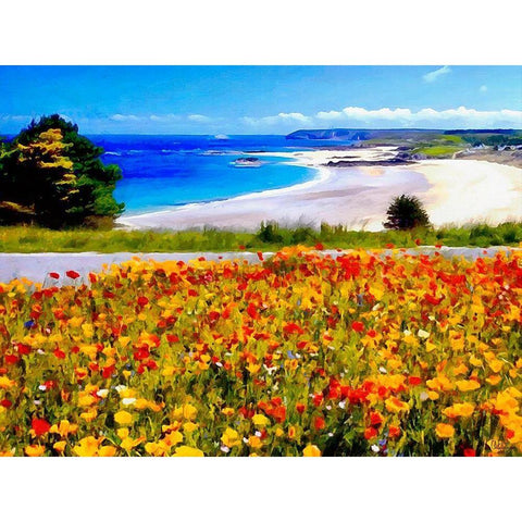 Flowers on the Field near Beach Gold Ornate Wood Framed Art Print with Double Matting by Medeiros, Celito