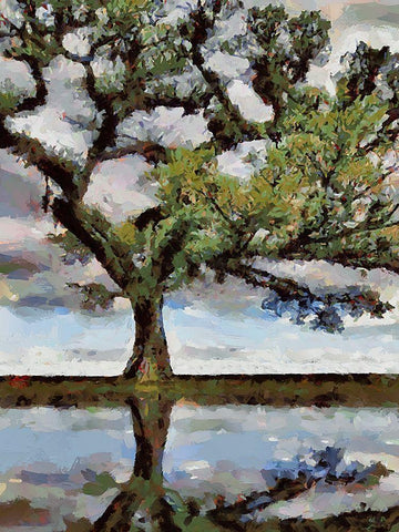 Big Tree Black Ornate Wood Framed Art Print with Double Matting by Medeiros, Celito