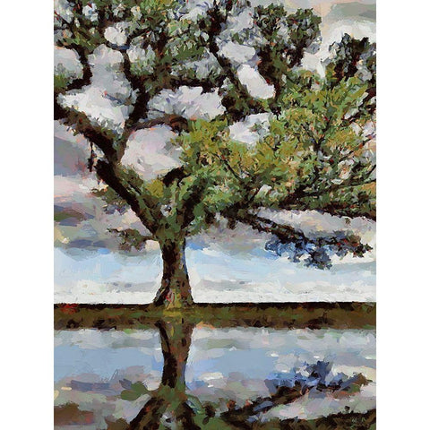 Big Tree Black Modern Wood Framed Art Print with Double Matting by Medeiros, Celito