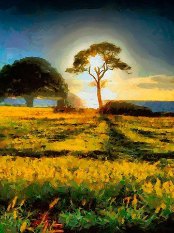 Tree in the Sunset White Modern Wood Framed Art Print with Double Matting by Medeiros, Celito
