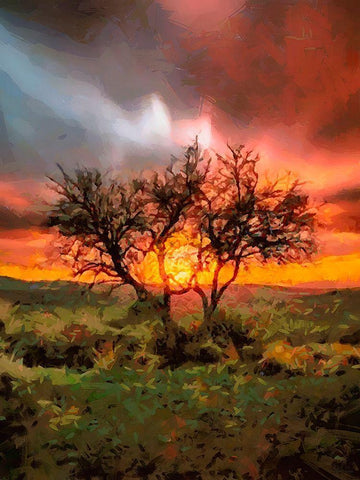Sunset behind the Tree II White Modern Wood Framed Art Print with Double Matting by Medeiros, Celito