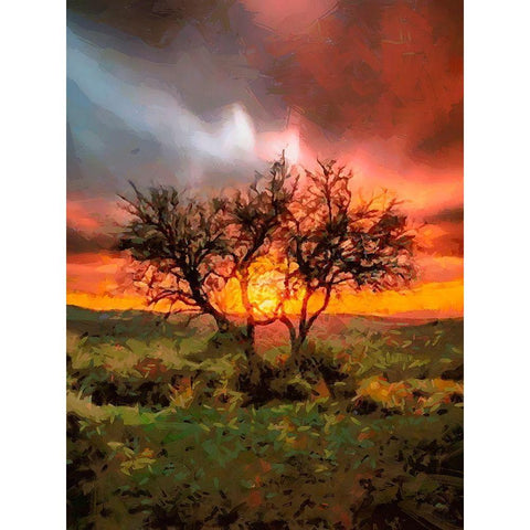 Sunset behind the Tree II Black Modern Wood Framed Art Print with Double Matting by Medeiros, Celito