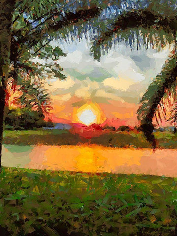 Sunset behind the Tree III Black Ornate Wood Framed Art Print with Double Matting by Medeiros, Celito