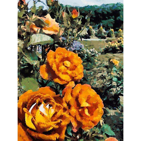 Dark Yellow Roses in the Garden Black Modern Wood Framed Art Print by Medeiros, Celito