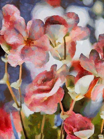 Pink Flowers White Modern Wood Framed Art Print with Double Matting by Medeiros, Celito