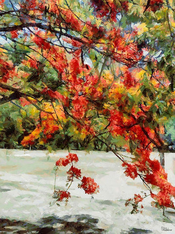 Flowering Tree on the Beach White Modern Wood Framed Art Print with Double Matting by Medeiros, Celito