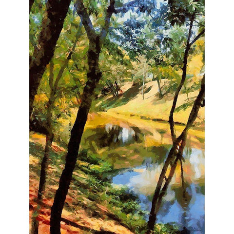 Slowly River Black Modern Wood Framed Art Print by Medeiros, Celito