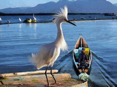 Nice White Bird I Black Ornate Wood Framed Art Print with Double Matting by Medeiros, Celito