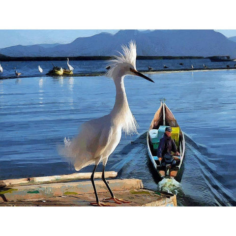 Nice White Bird I Black Modern Wood Framed Art Print with Double Matting by Medeiros, Celito