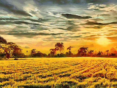 Sunset above the Road II White Modern Wood Framed Art Print with Double Matting by Medeiros, Celito