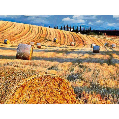 Sunset above the Field Gold Ornate Wood Framed Art Print with Double Matting by Medeiros, Celito