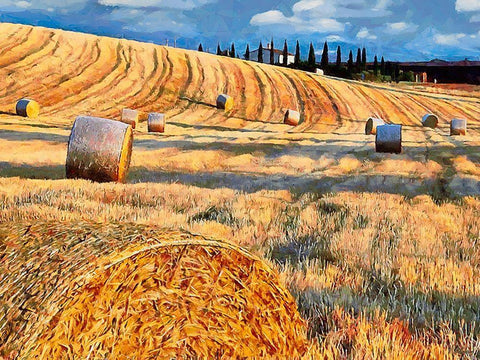 Sunset above the Field Black Ornate Wood Framed Art Print with Double Matting by Medeiros, Celito