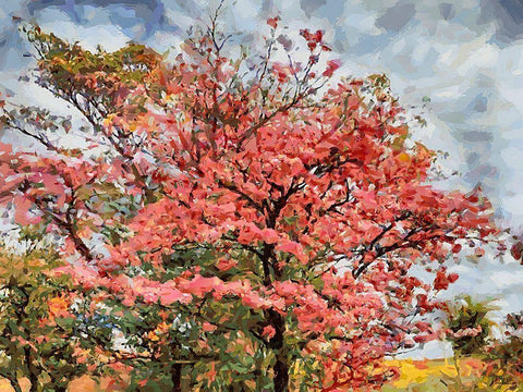 A Tree by the Road White Modern Wood Framed Art Print with Double Matting by Medeiros, Celito