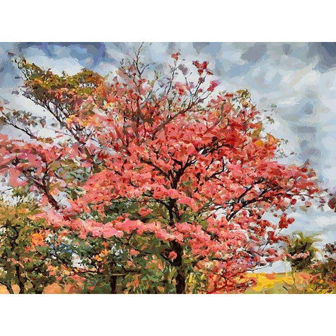 A Tree by the Road White Modern Wood Framed Art Print by Medeiros, Celito