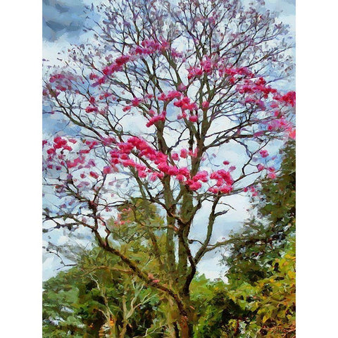Pink Flowering Tree Black Modern Wood Framed Art Print with Double Matting by Medeiros, Celito