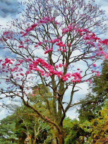 Pink Flowering Tree Black Ornate Wood Framed Art Print with Double Matting by Medeiros, Celito