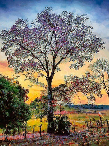 Pink Flowering Tree II White Modern Wood Framed Art Print with Double Matting by Medeiros, Celito