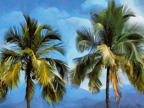 Coconut Tree Black Ornate Wood Framed Art Print with Double Matting by Medeiros, Celito