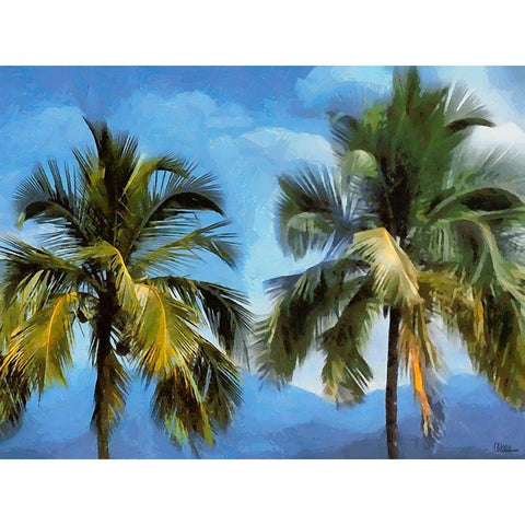 Coconut Tree Black Modern Wood Framed Art Print by Medeiros, Celito