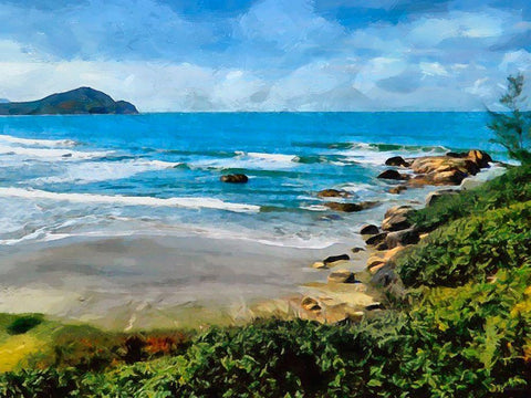 Rocks on the Tropical Beach Black Ornate Wood Framed Art Print with Double Matting by Medeiros, Celito