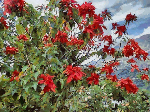 Red Bush Black Ornate Wood Framed Art Print with Double Matting by Medeiros, Celito