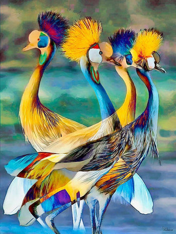 Colorful Birds White Modern Wood Framed Art Print with Double Matting by Medeiros, Celito