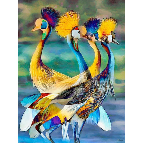 Colorful Birds Black Modern Wood Framed Art Print by Medeiros, Celito