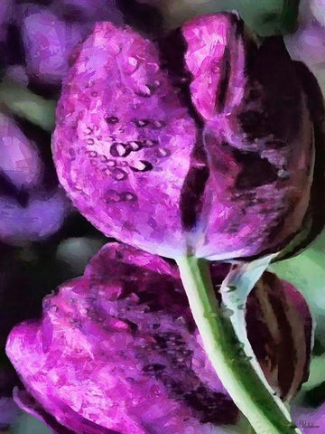 Purple Tulips White Modern Wood Framed Art Print with Double Matting by Medeiros, Celito