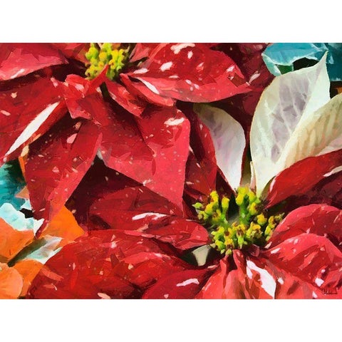 Red Flowers I Black Modern Wood Framed Art Print with Double Matting by Medeiros, Celito