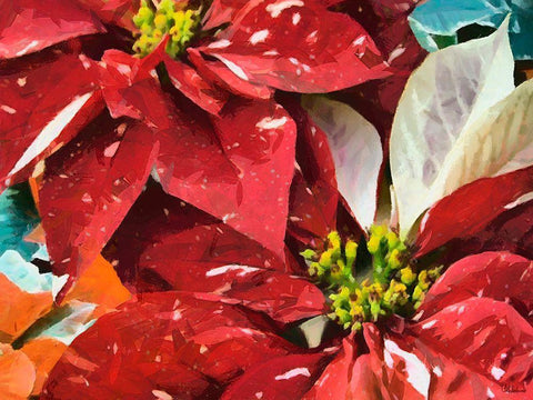 Red Flowers I White Modern Wood Framed Art Print with Double Matting by Medeiros, Celito