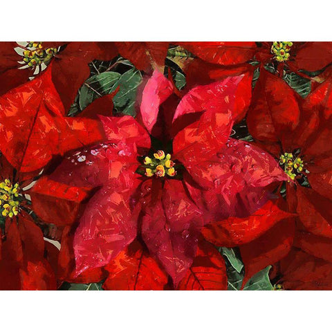 Red Flowers II Black Modern Wood Framed Art Print by Medeiros, Celito